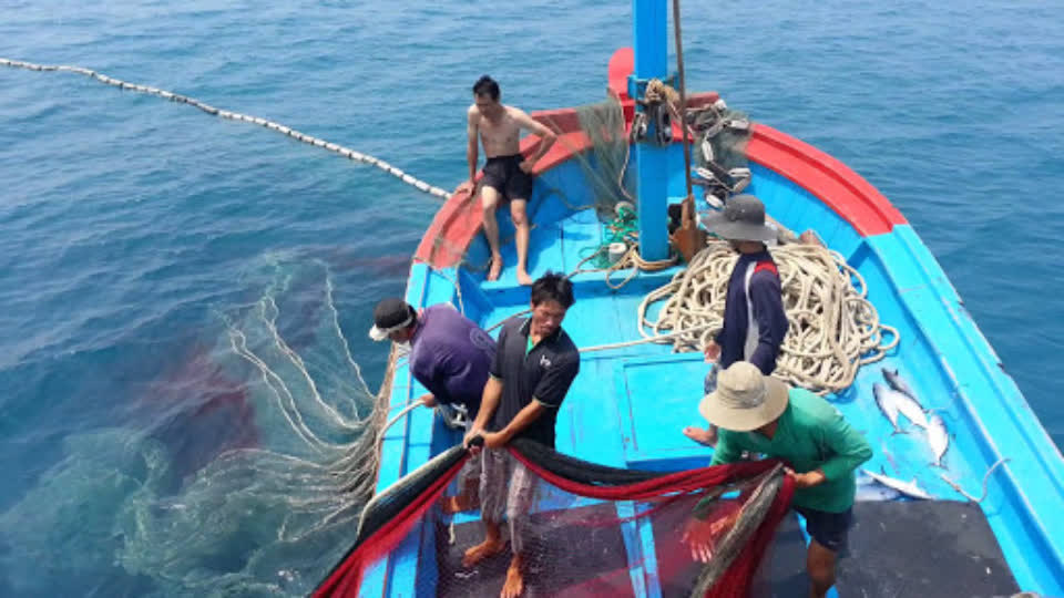 今年柬埔寨海产鱼类产量下降10%