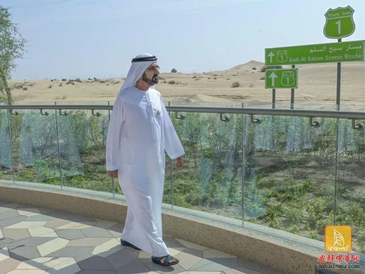 迪拜酋长启动发展迪拜乡村的旅游项目