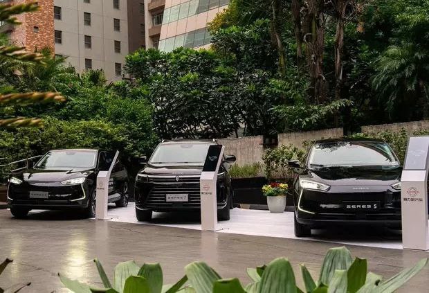 中国电动汽车在巴西市场新车销量达去年同期 8 倍