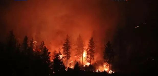 加拿大官方报告称林火或将继续燃烧至冬季