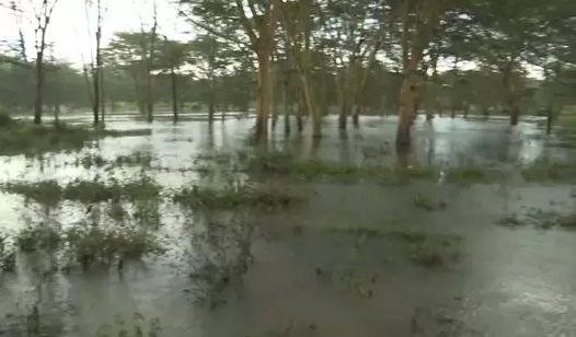 肯尼亚两大坝水位高涨下游洪灾形势严峻