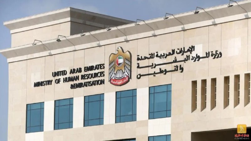 阿联酋宣布新决议：4类违规行为将导致工作许可被暂停