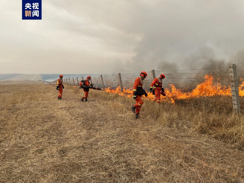 内蒙古森林消防堵截蒙古国草原大火入境 中蒙边境线明火已被扑灭 ...