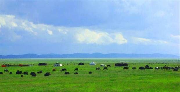 蒙古国首都和内蒙古最大城市，本是同根生，如今却是天壤之别